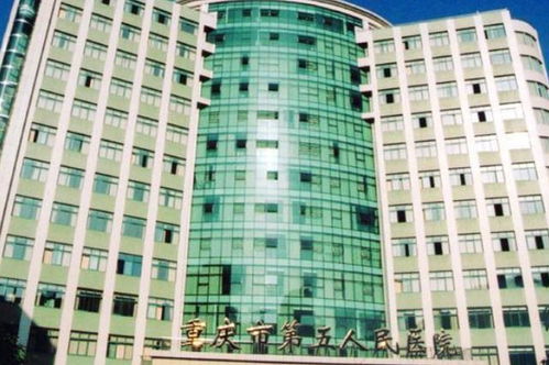 愛(ài)德華醫(yī)院遷建與公園興建，周邊居民(mín)迎來(lái)健康生(shēng)活新篇章(zhāng)