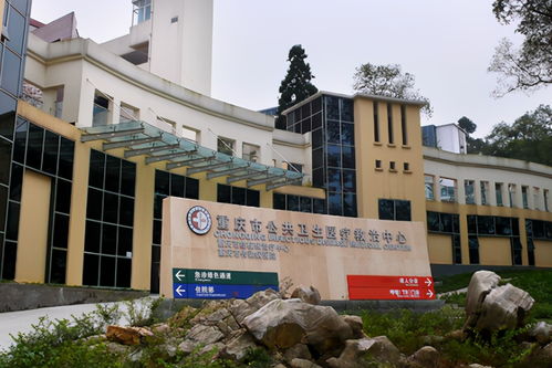 重慶市(shì)衛生(shēng)醫(yī)療醫(yī)院項目可(kě)行(xíng)性研究報(bào)告