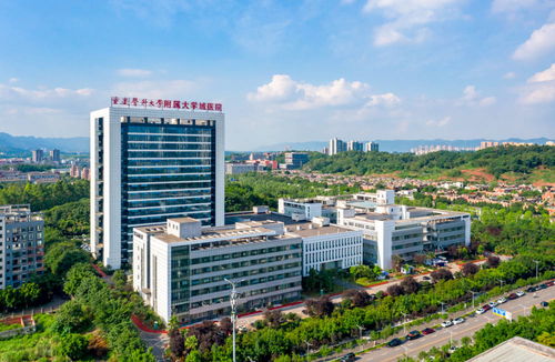 重慶醫(yī)科(kē)大(dà)學附屬大(dà)學城(chéng)醫(yī)院 十載峥嵘奮進 用(yòng)心打造人(rén)民(mín)群衆滿意的(de)醫(yī)院