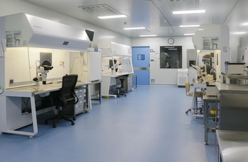 重慶安琪兒(ér)婦産醫(yī)院 試管嬰兒(ér) 技(jì)術(shù)獲批正式運行(xíng)