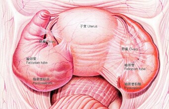 治療采用(yòng)什(shén)麽輸卵管不(bù)通(tōng)?其症狀有(yǒu)哪些(xiē)呢(ne)?_重慶不(bù)孕不(bù)育醫(yī)院丨重慶哪家(jiā)不(bù)孕不(bù)育醫(yī)院好(hǎo)丨重慶愛德華醫院有限公司